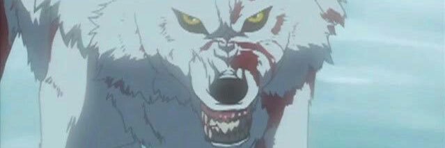 Quaz___'s profile banner image