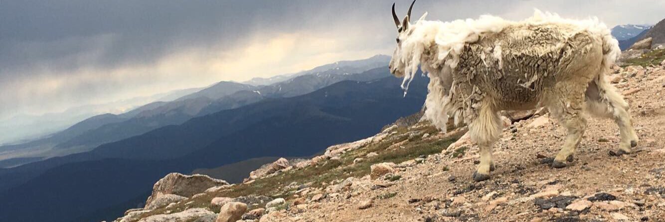 Nate_Tigges's profile banner image