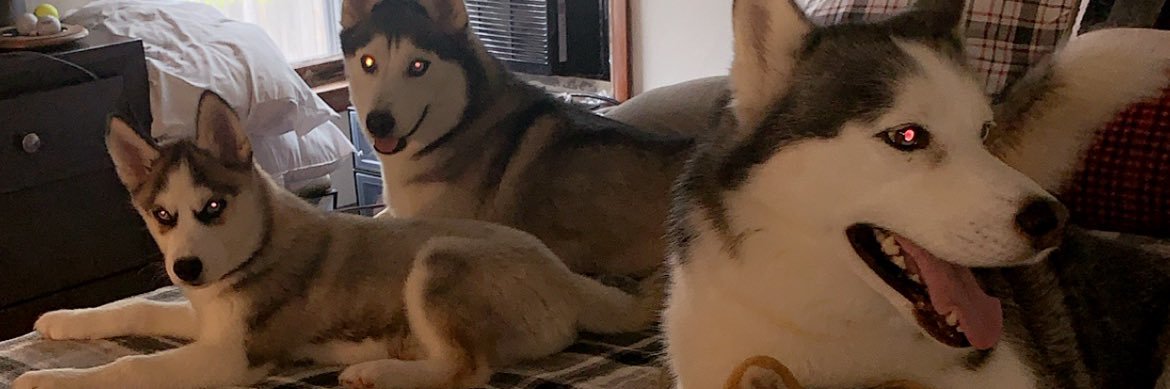 jakejohnston68's profile banner image
