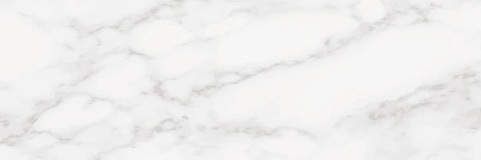 Amy Pham banner