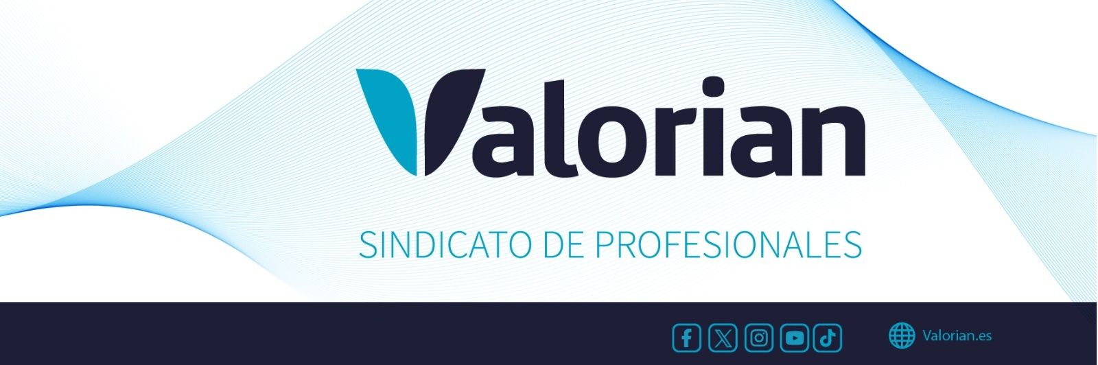 Valorian Levante banner