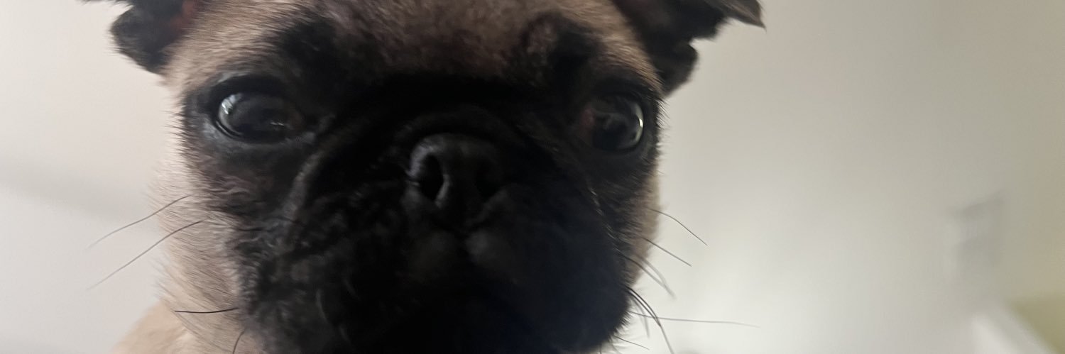 marinagwil's profile banner image