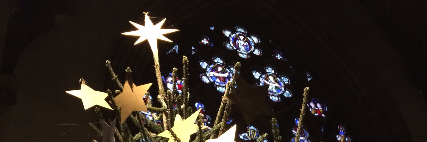 xmastreefest's profile banner image