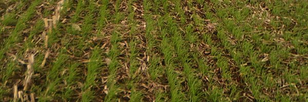 Dominiqueluhern Profile Banner