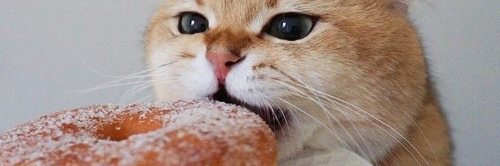 DasBeater's banner