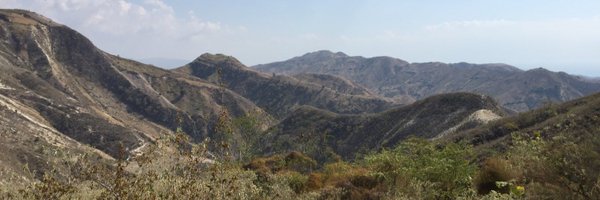 mjelbing Profile Banner