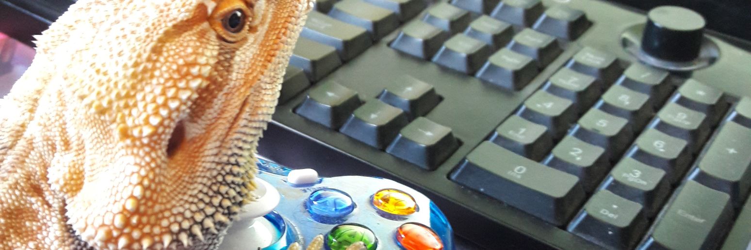 FishDadAnthony's profile banner image