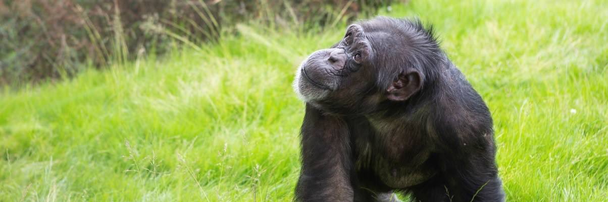 Dr Sharon Redrobe OBE 🏳️‍🌈 banner
