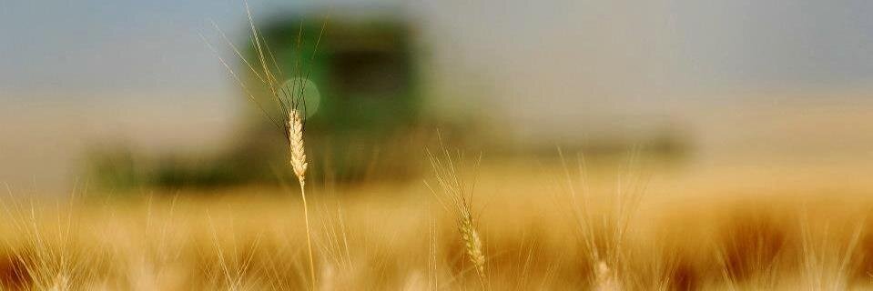 scott_eklund's profile banner image