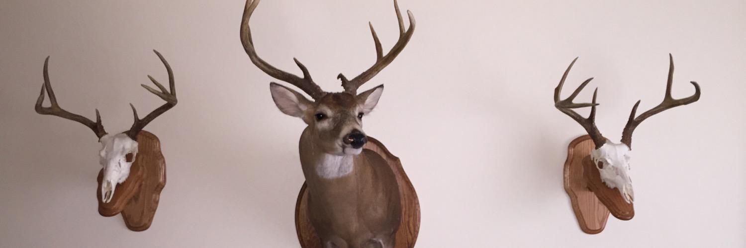 JoshHasty's profile banner image