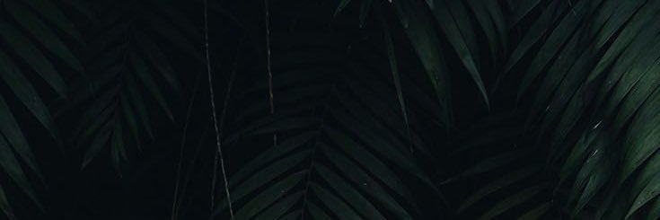 MahaliaBrice's profile banner image