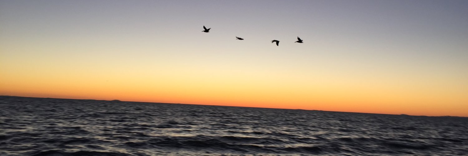 DMCMorales's profile banner image