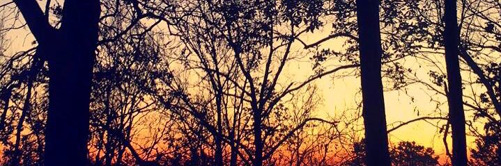LylPetty's profile banner image