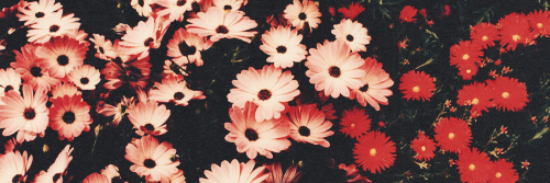 MilrasTreasures's profile banner image