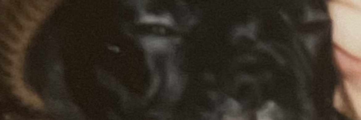 SayBayBay's profile banner image