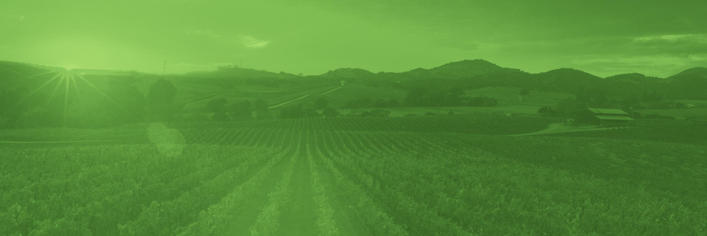 Vintage Report banner