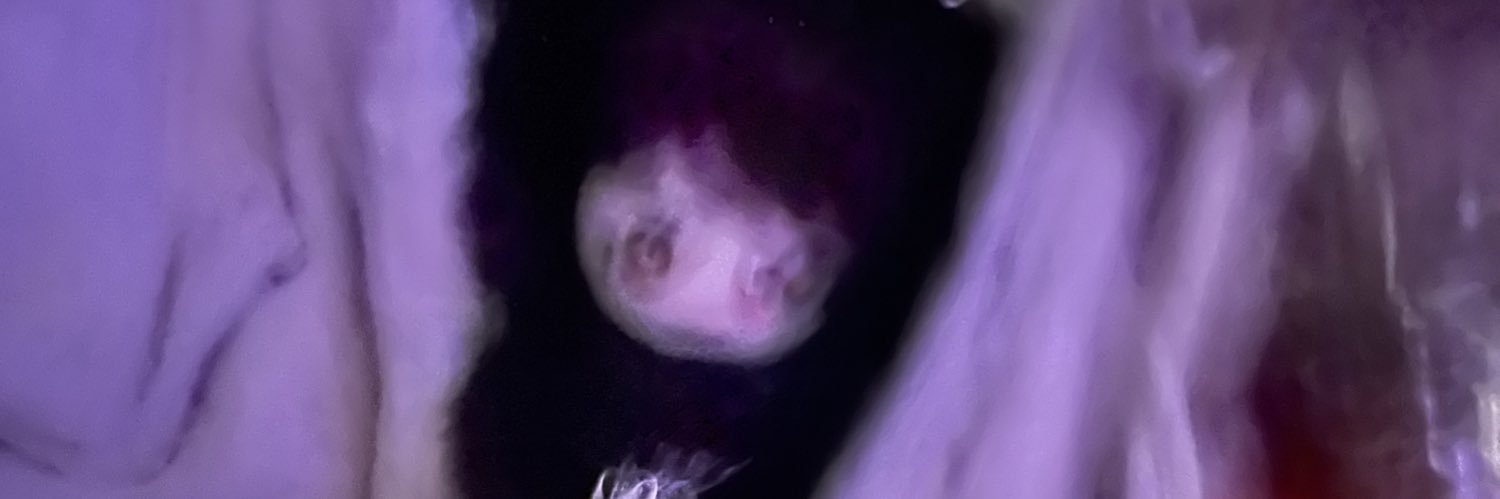 7_rii_'s profile banner image