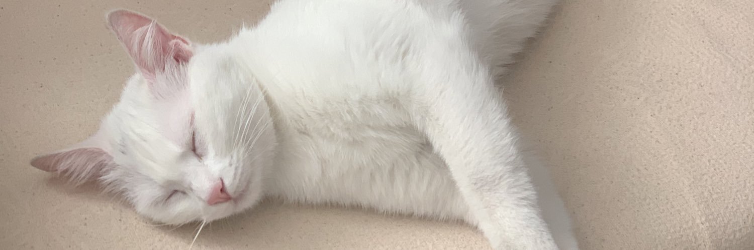 MertedesBenz's profile banner image