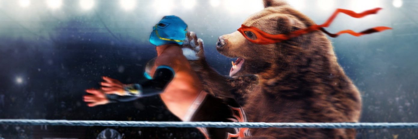 Bearmageddon's profile banner image