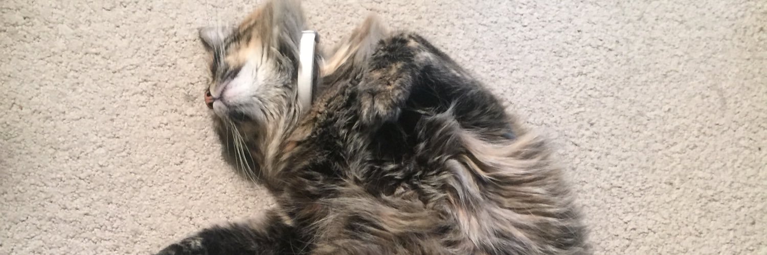terrycoco1's profile banner image