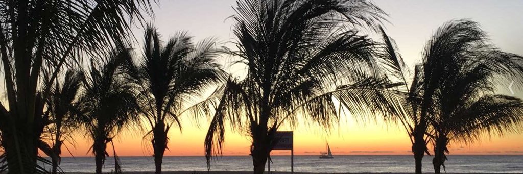 Evan Rizzitello banner