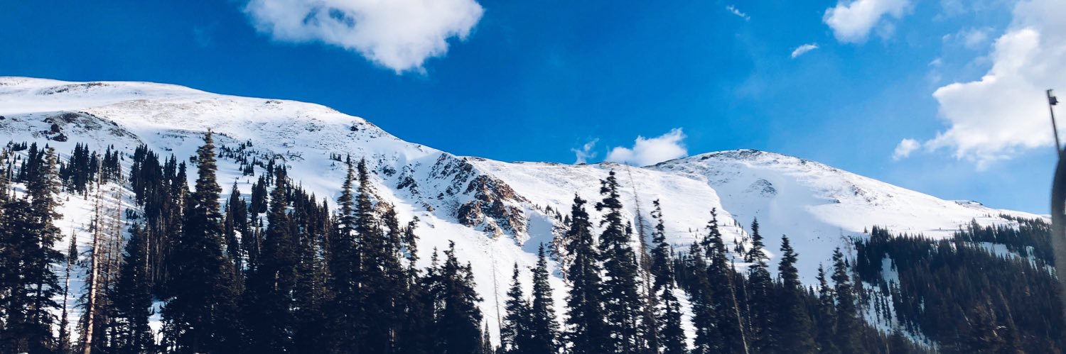 allisonconnors7's profile banner image