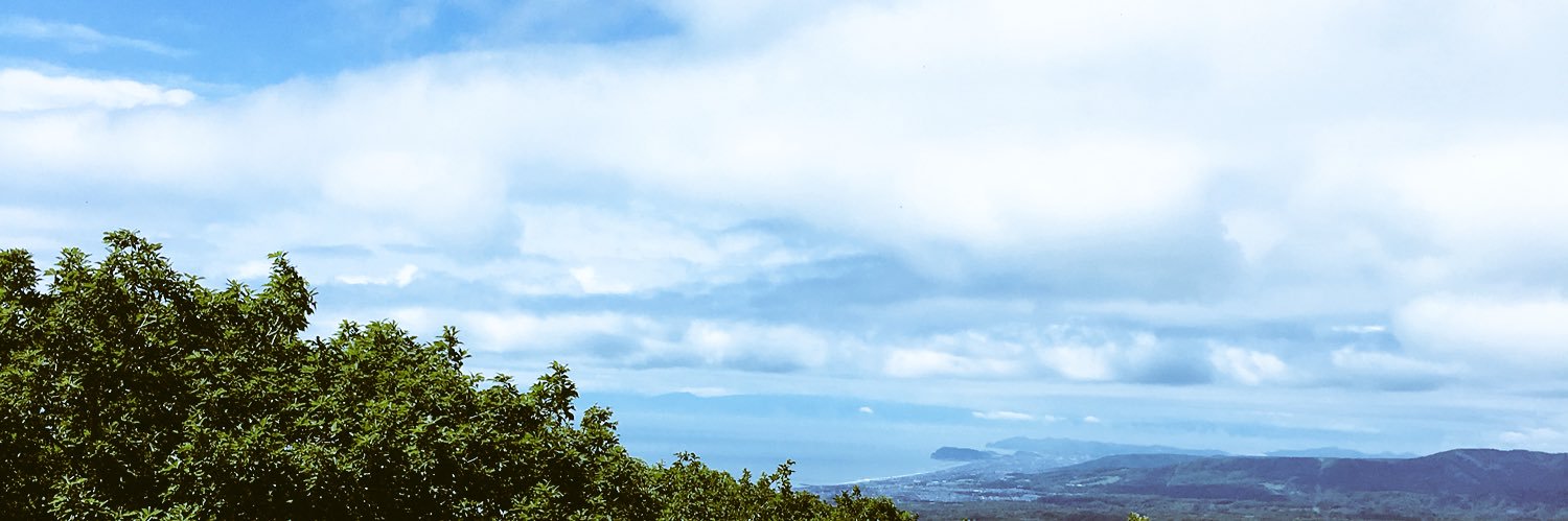 oguradora's profile banner image