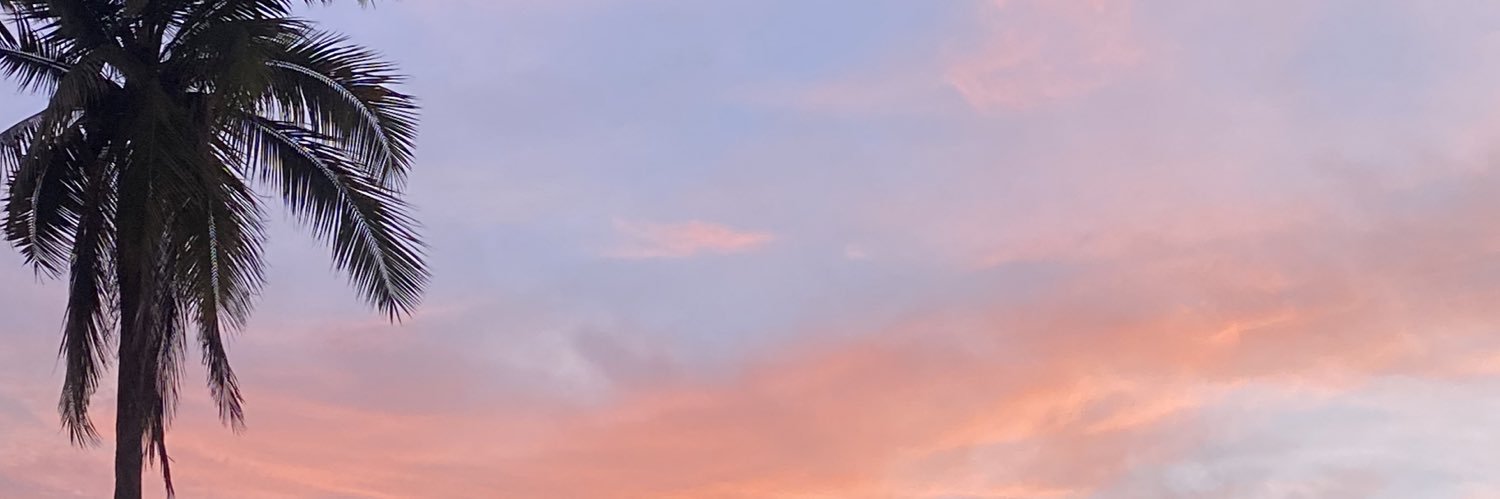 fernanda_nietom's profile banner image