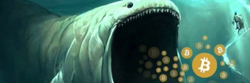 mannbora1's profile banner image