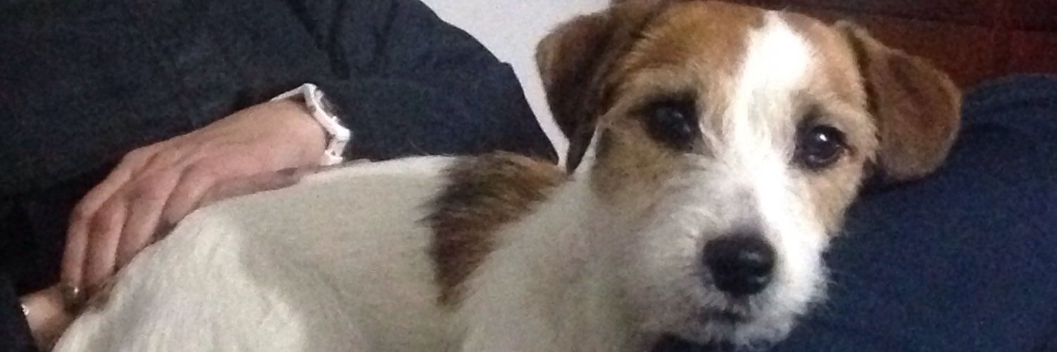 rimeja01's profile banner image