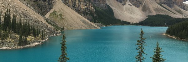 francescmunoz Profile Banner