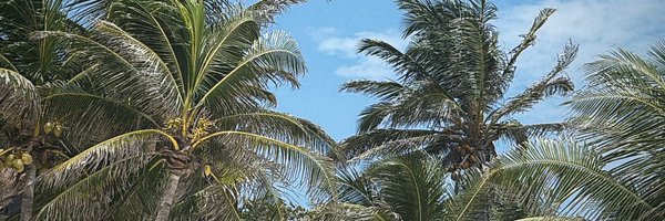 GetYourLifeeeee Profile Banner