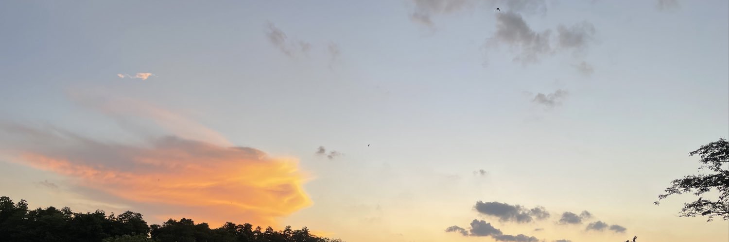 MM994494's profile banner image