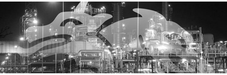 CottusBV's profile banner image