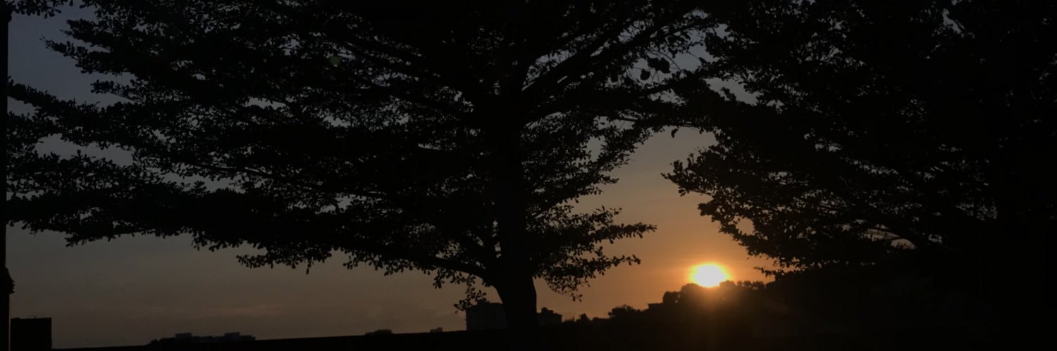 VithiyaG's profile banner image