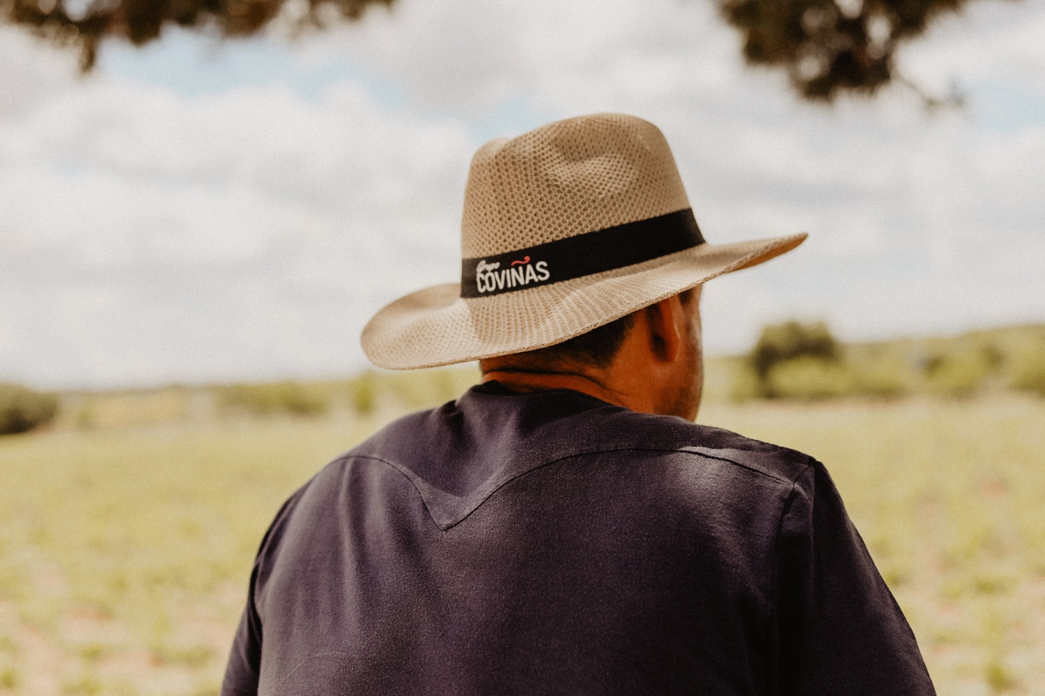 Bodegas_Covinas's profile banner image