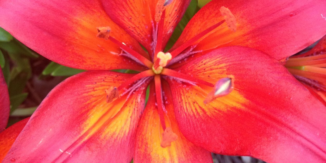 Beth_Keeney's profile banner image