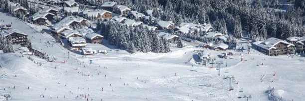 bernard_volk's profile banner image