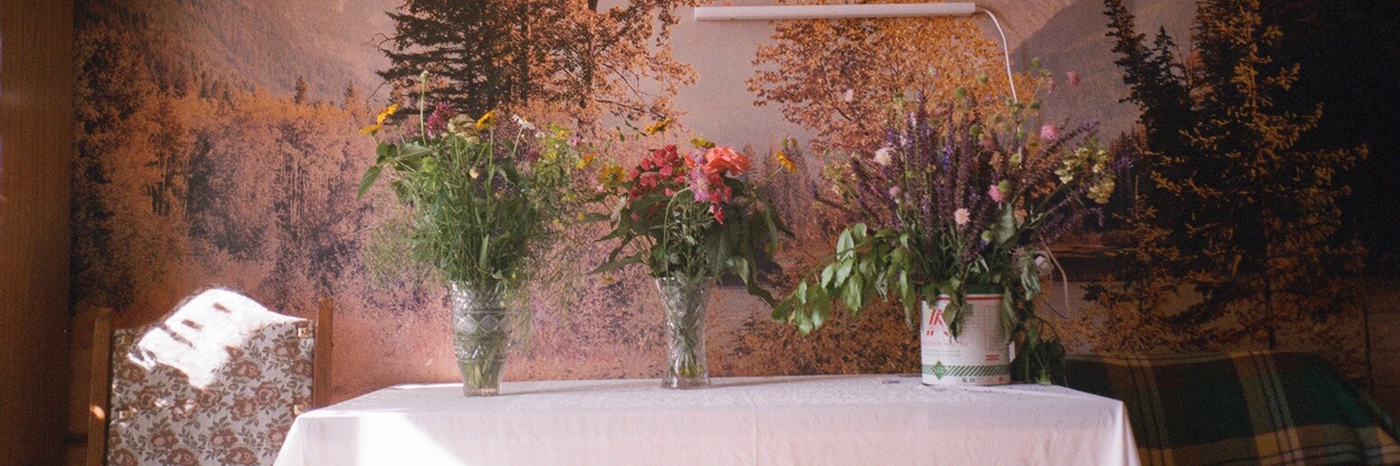 asergeeva's profile banner image