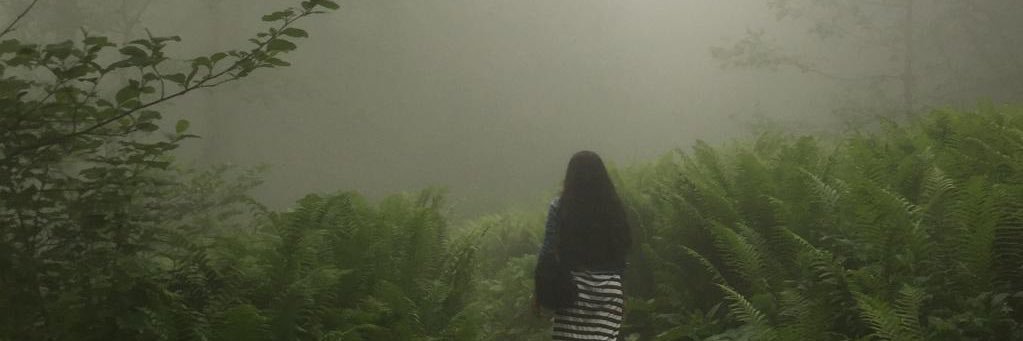 Bilge_cnkr's profile banner image