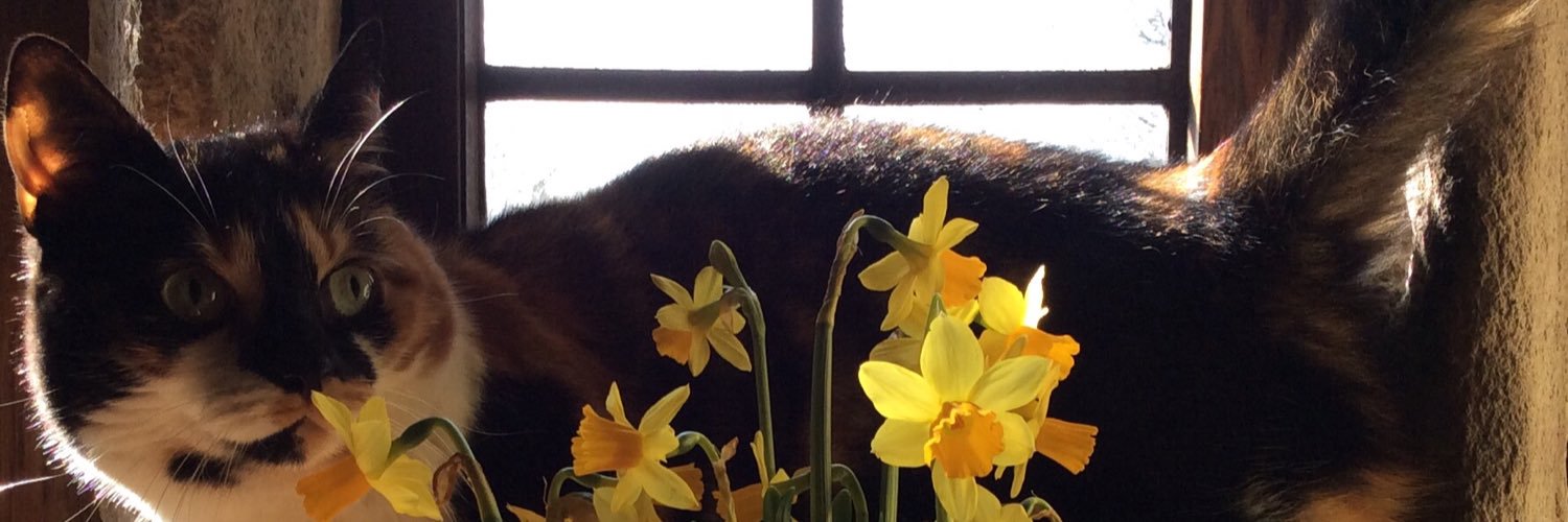 AndreaLGale2's profile banner image