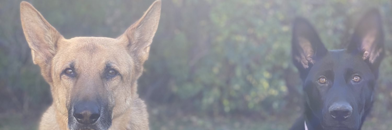 tpfleegorr's profile banner image