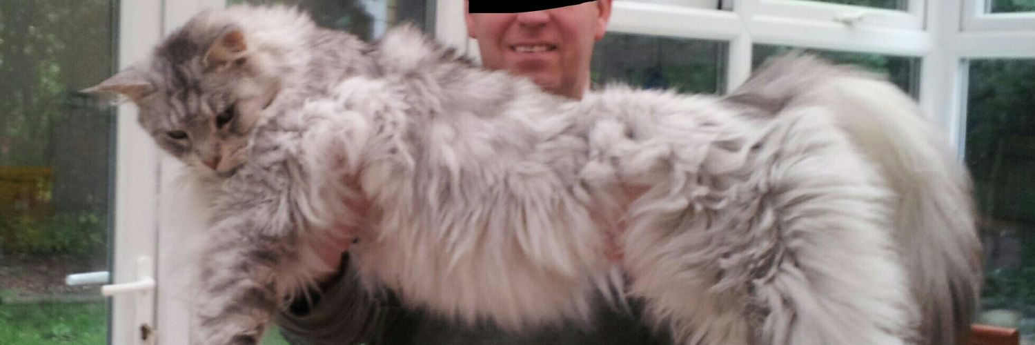 DealerCat's profile banner image