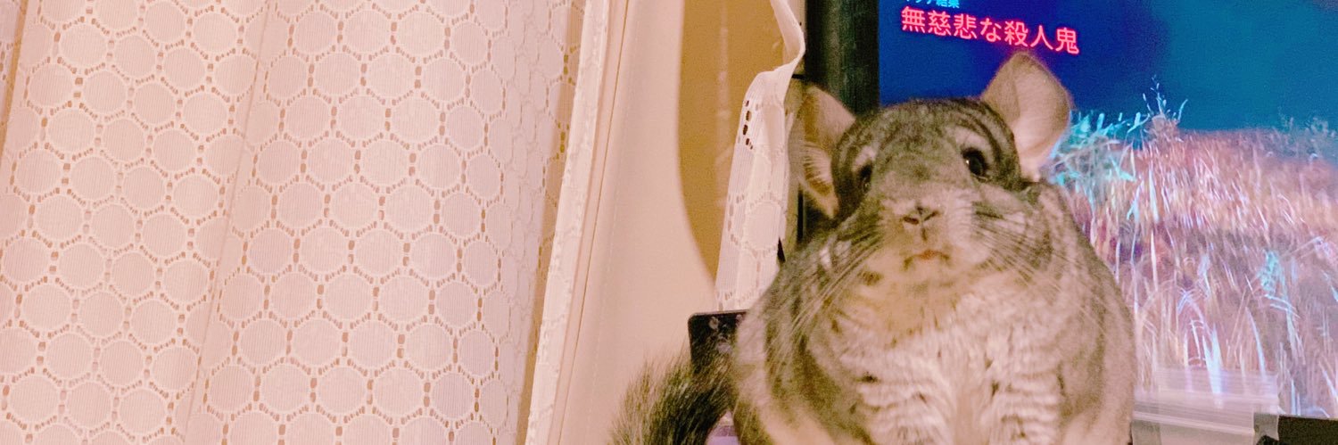 yachilla_'s profile banner image
