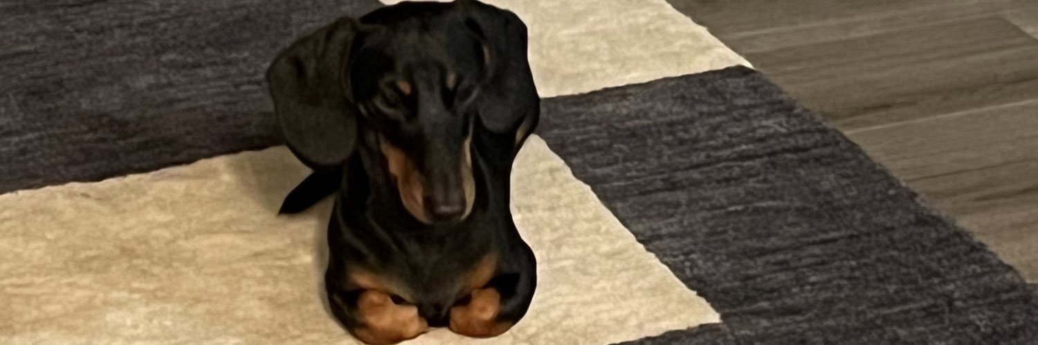 Bri_Williams17's profile banner image