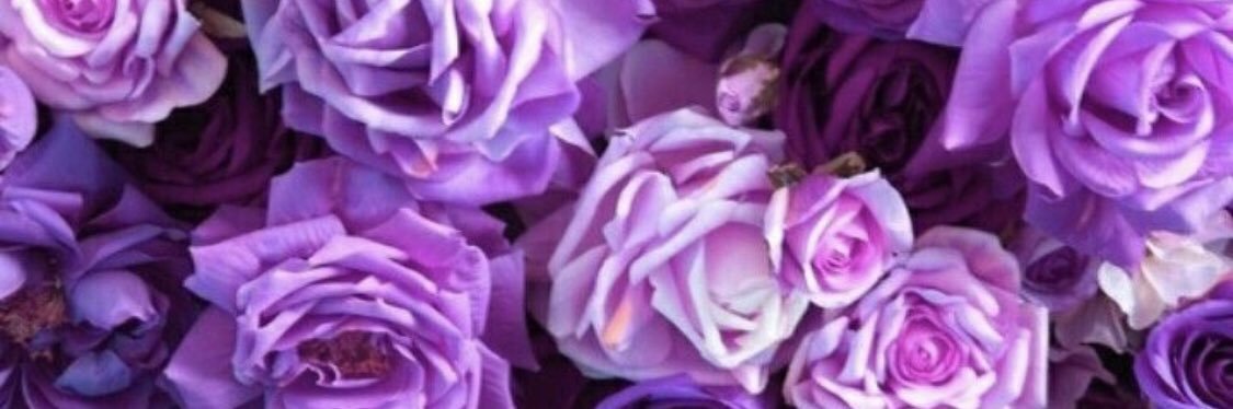 lorimagowan's profile banner image