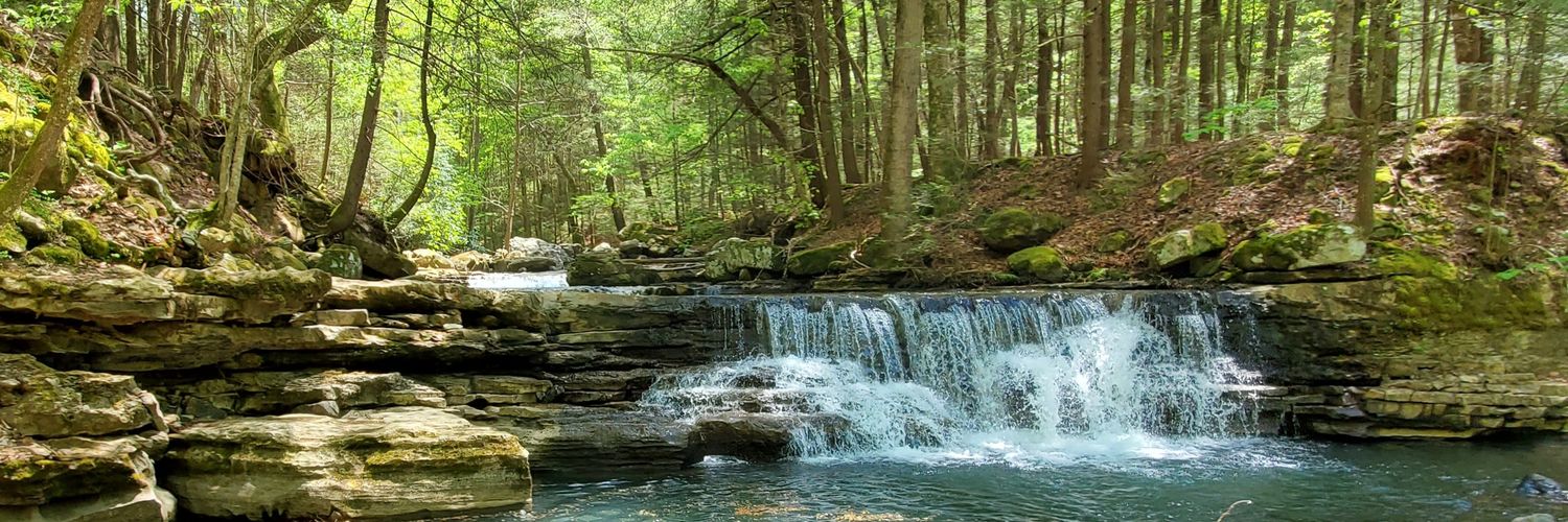 James, Holder of Kitties and Devourer of Cheeses banner