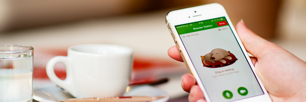 dogmonitorapp's profile banner image
