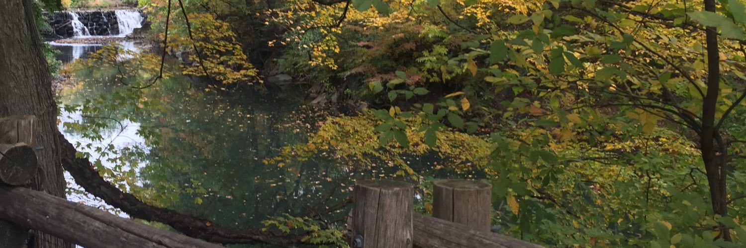 LMCT12's profile banner image