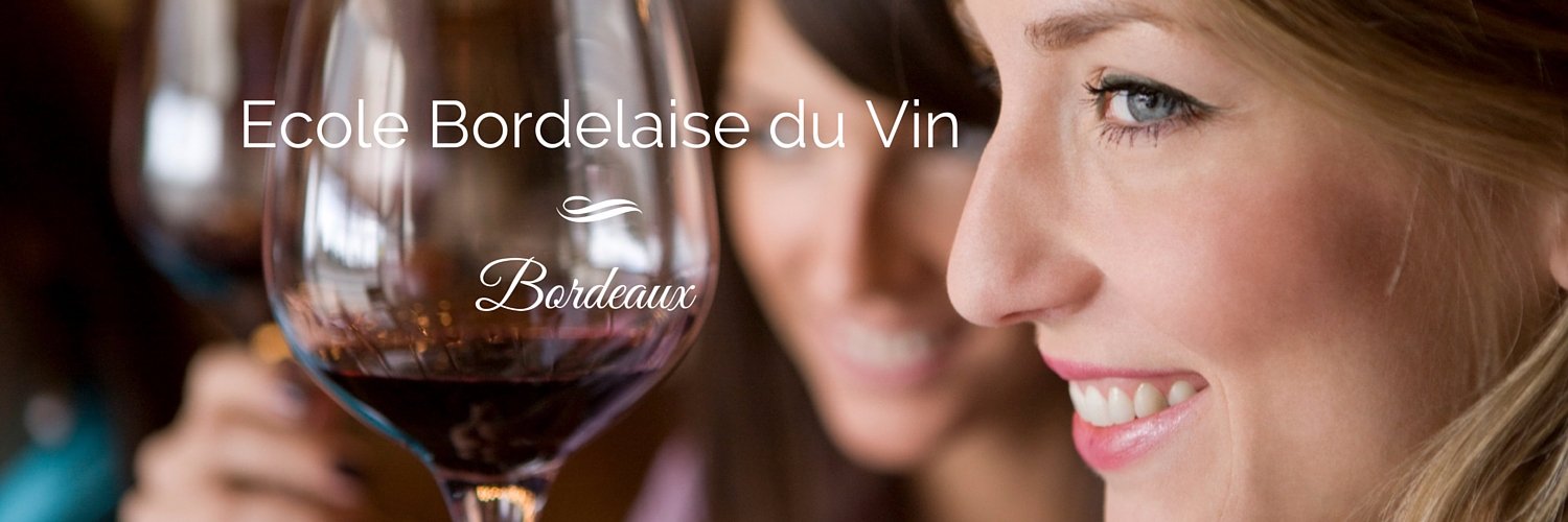 ContactEbv's profile banner image